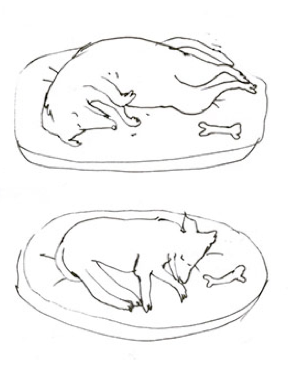 Illustration for article titled How I Feel About My Dog, or How 19th Century Men Felt About Women